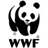 WWF/ WNF Pluche walrus mannetje - Afbeelding 3