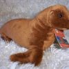 WWF/ WNF Pluche walrus vrouwtje