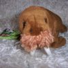 WWF/ WNF Pluche walrus mannetje