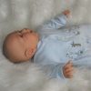 AD5h Levensechte Babypop soft body pop Roy in velours pakje lichtblauw 53 cm - Afbeelding 9